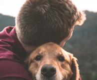 Pedro e seu cachorro