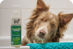 Produtos de higiene para pet